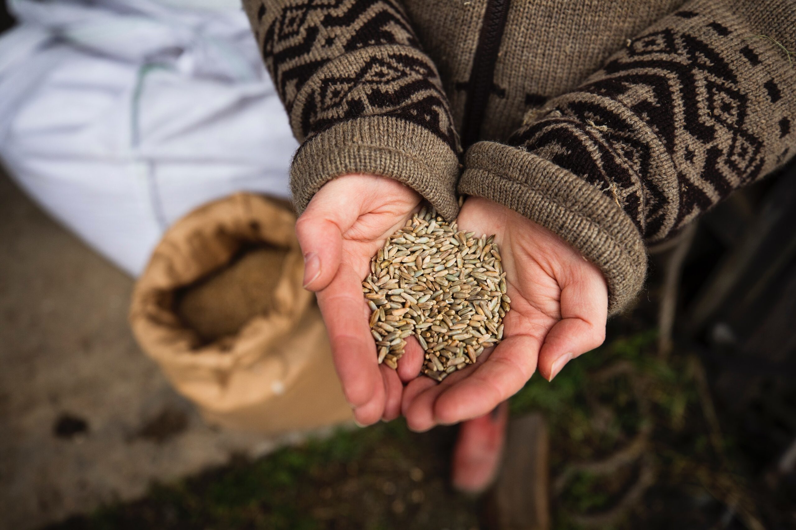 Can You Freeze Oat Milk?