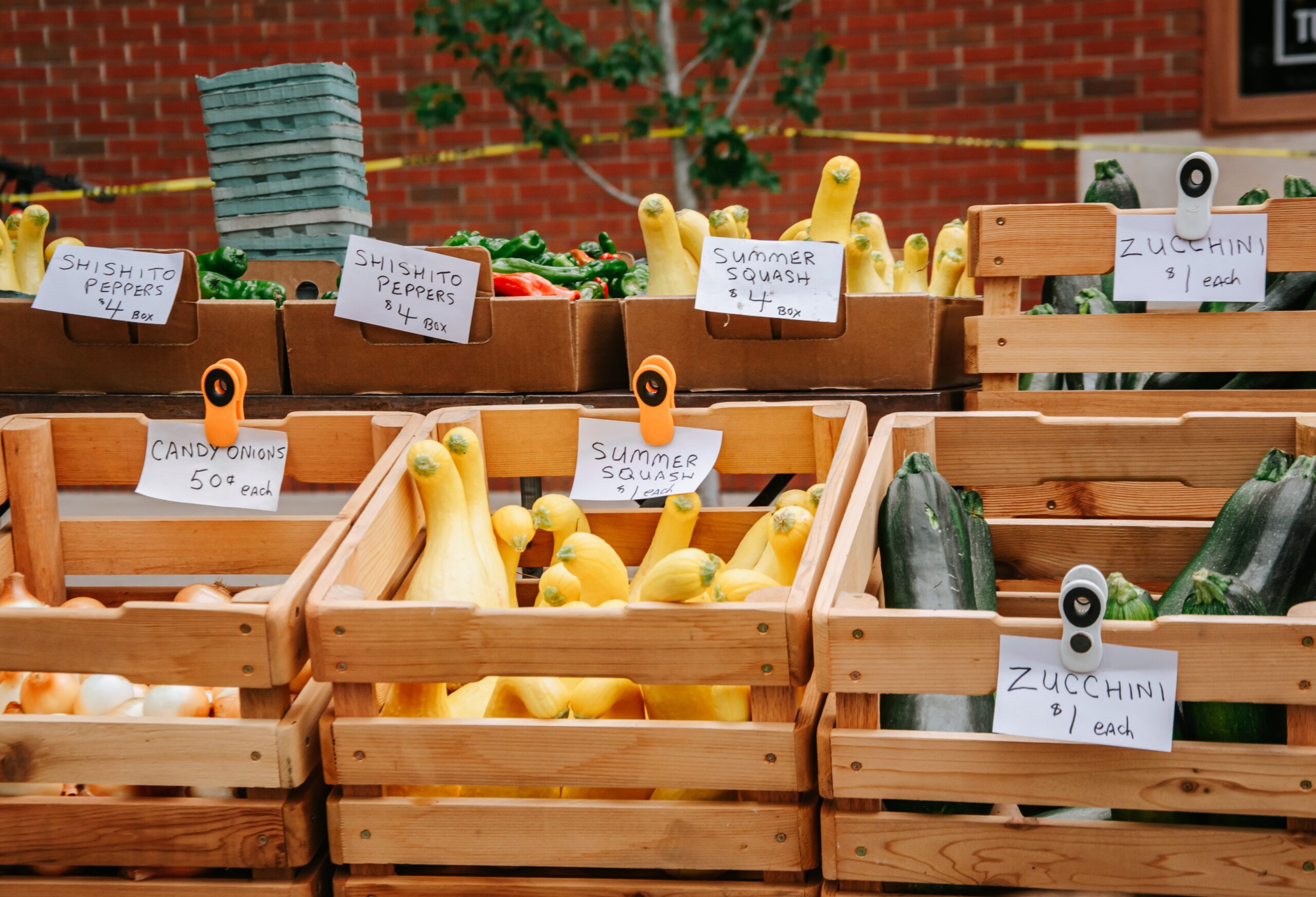 Food Technology Developments In Schools